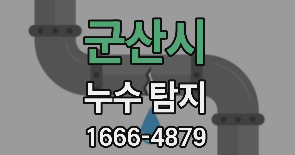 군산시 누수 탐지