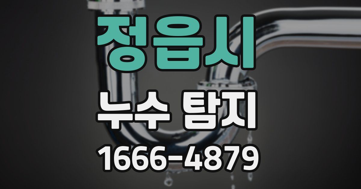 정읍시 누수 탐지