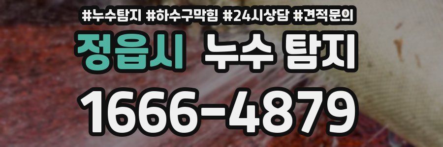 정읍시 누수 탐지