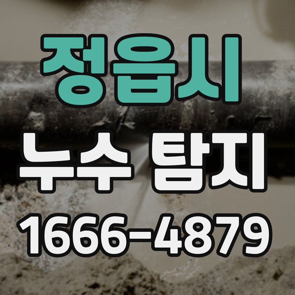 정읍시 누수 탐지