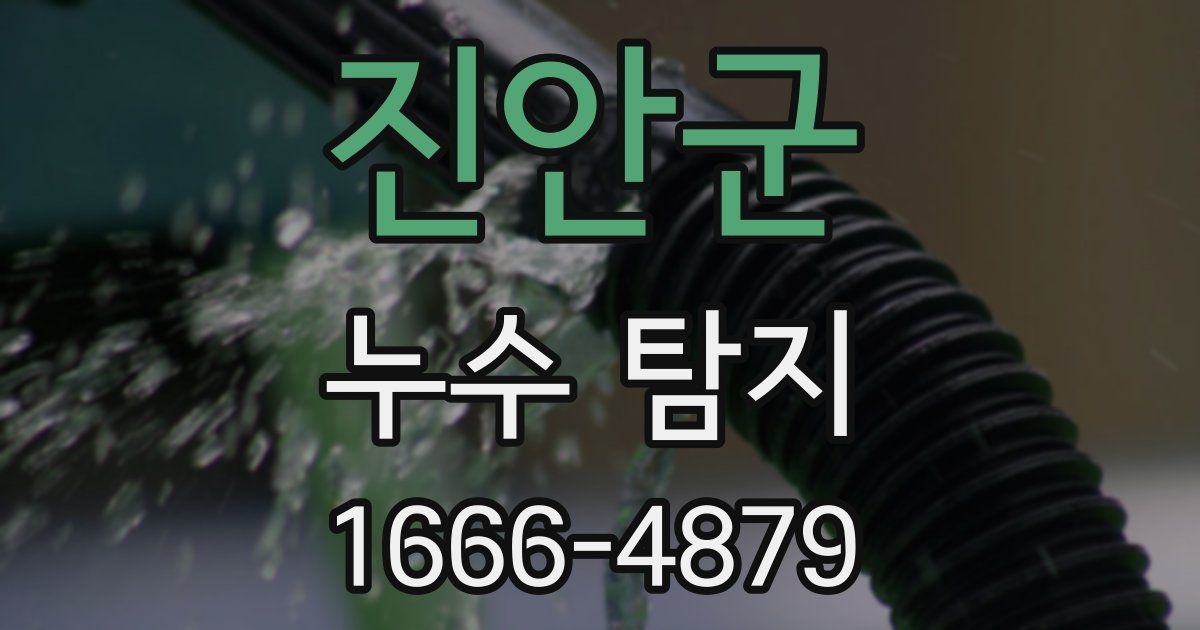 진안군 누수 탐지