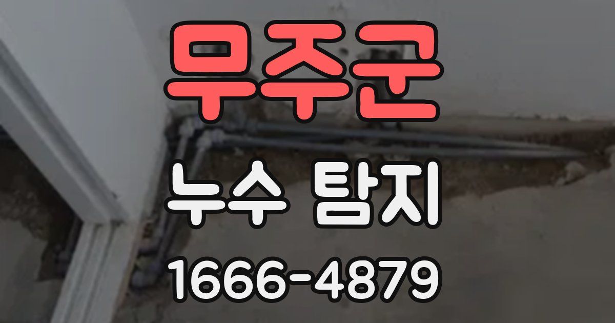 무주군 누수 탐지