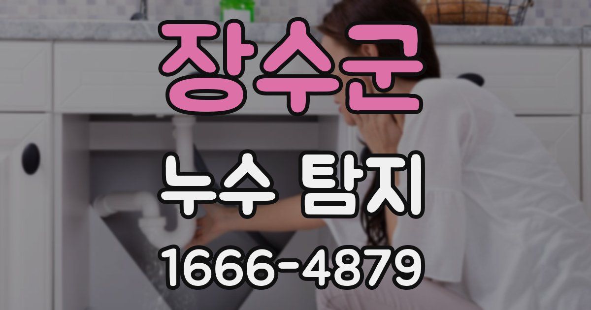 장수군 누수 탐지