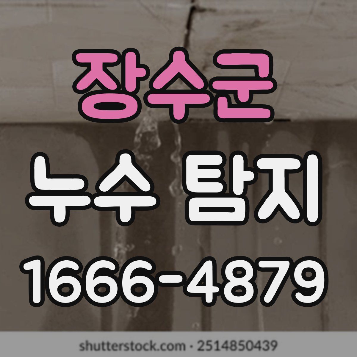 장수군 누수 탐지