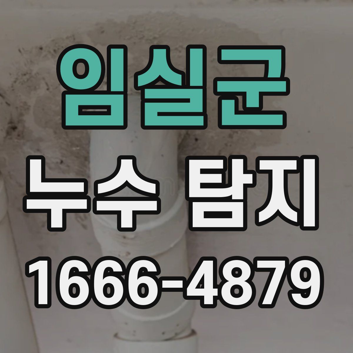 임실군 누수 탐지