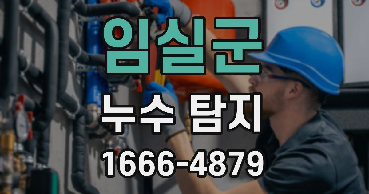 임실군 누수 탐지