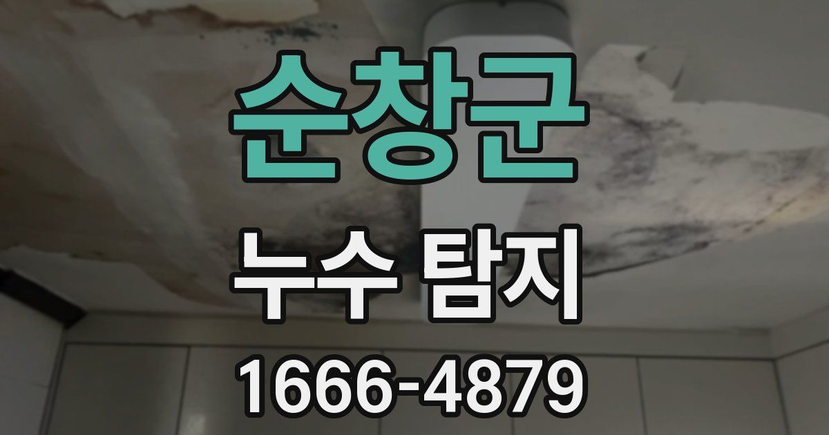 순창군 누수 탐지