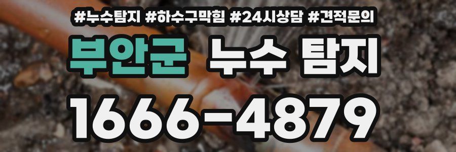 부안군 누수 탐지