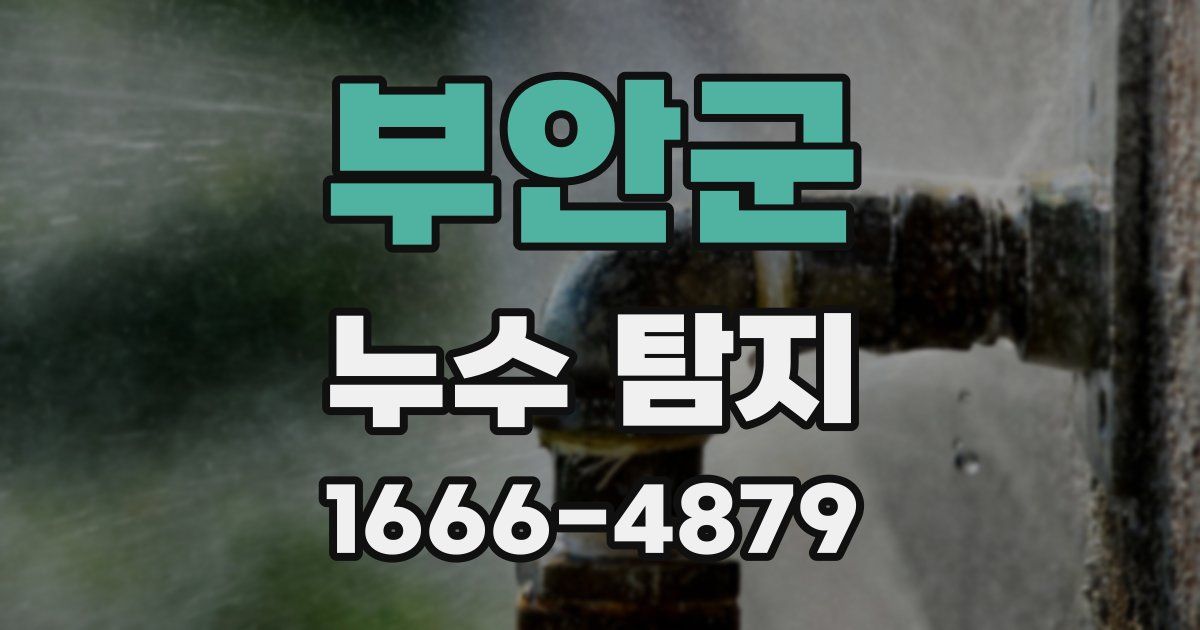 부안군 누수 탐지