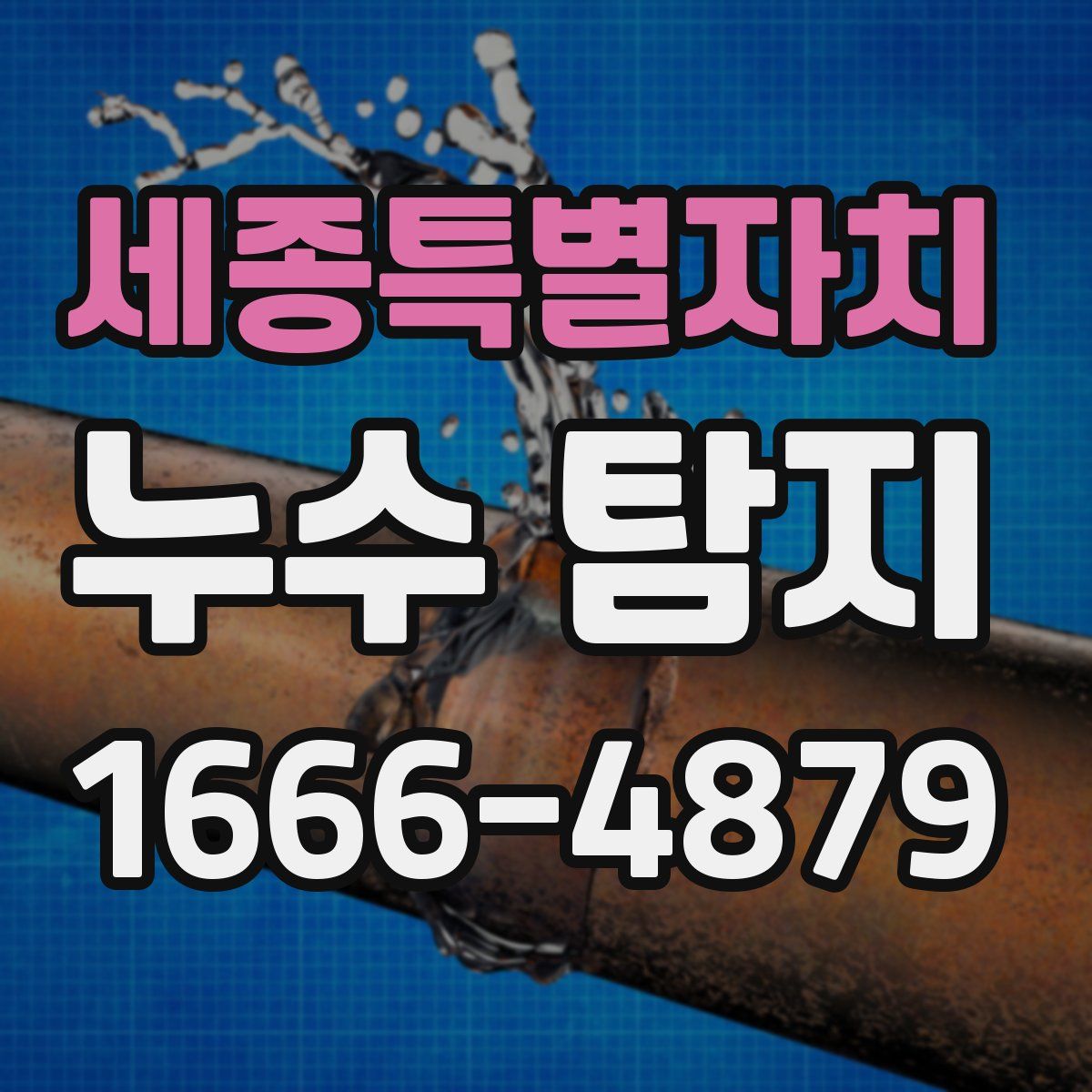 세종특별자치 누수 탐지