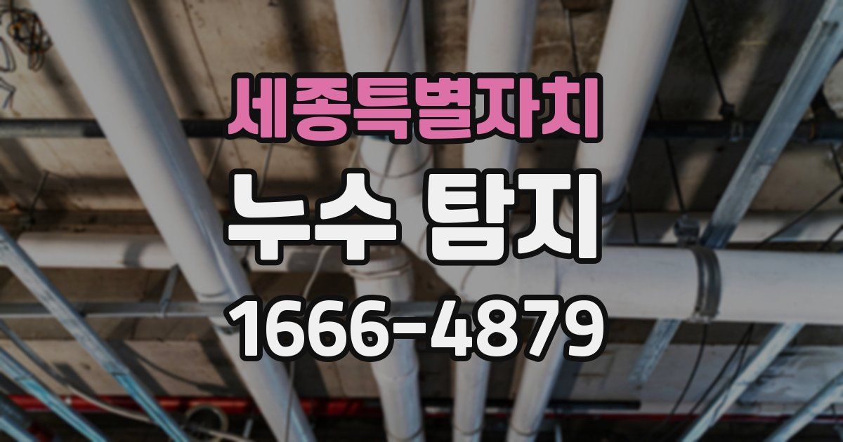 세종특별자치 누수 탐지