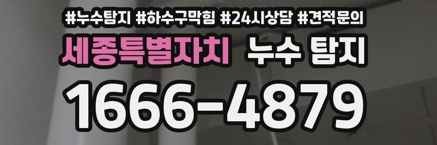 세종특별자치 누수 탐지
