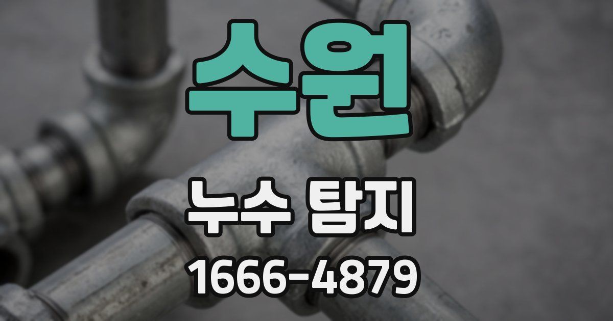 수원 누수 탐지