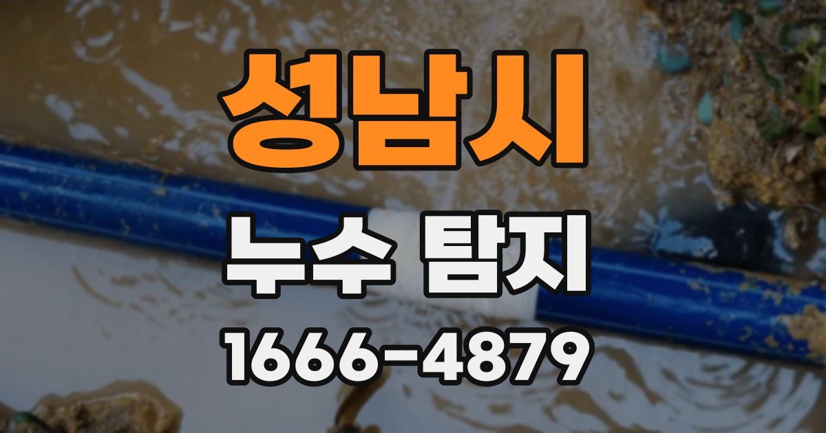 성남시 누수 탐지