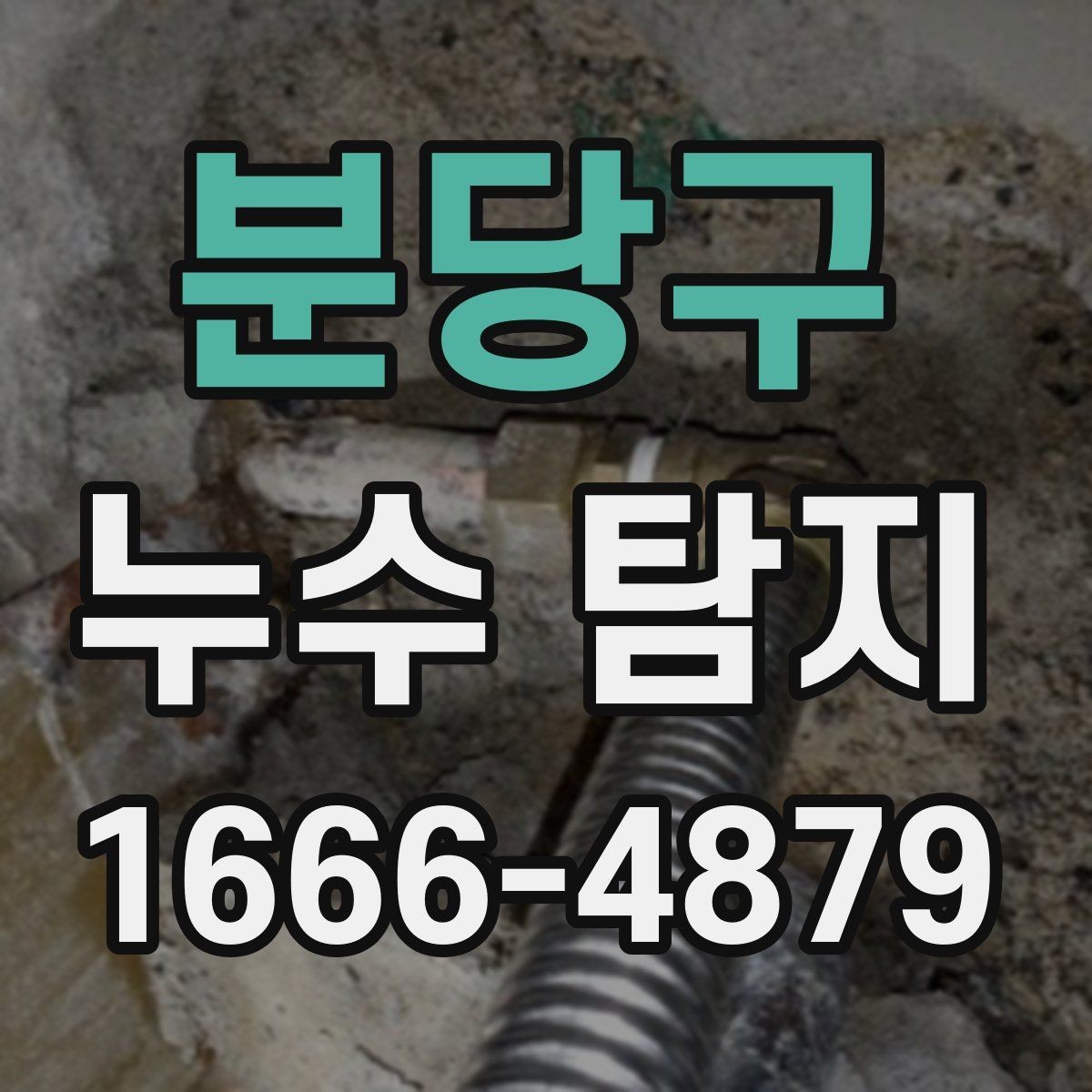 분당구 누수 탐지 사례로 배우는 대응 순서