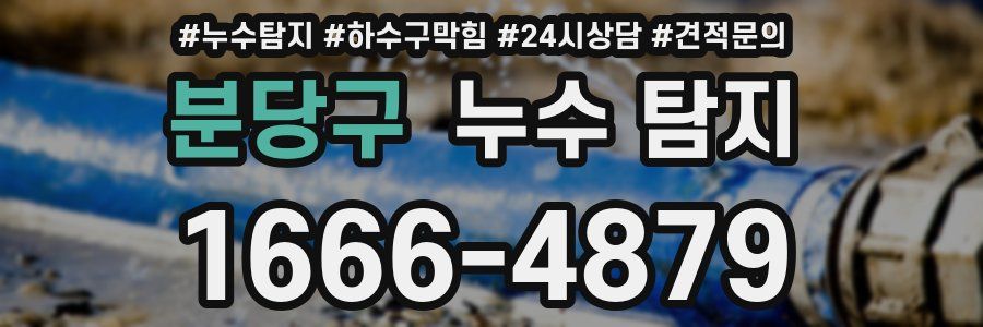 분당구 누수 탐지