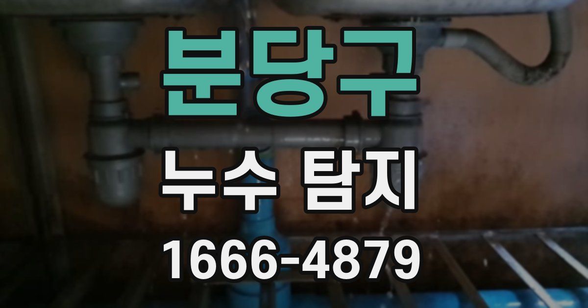 분당구 누수 탐지