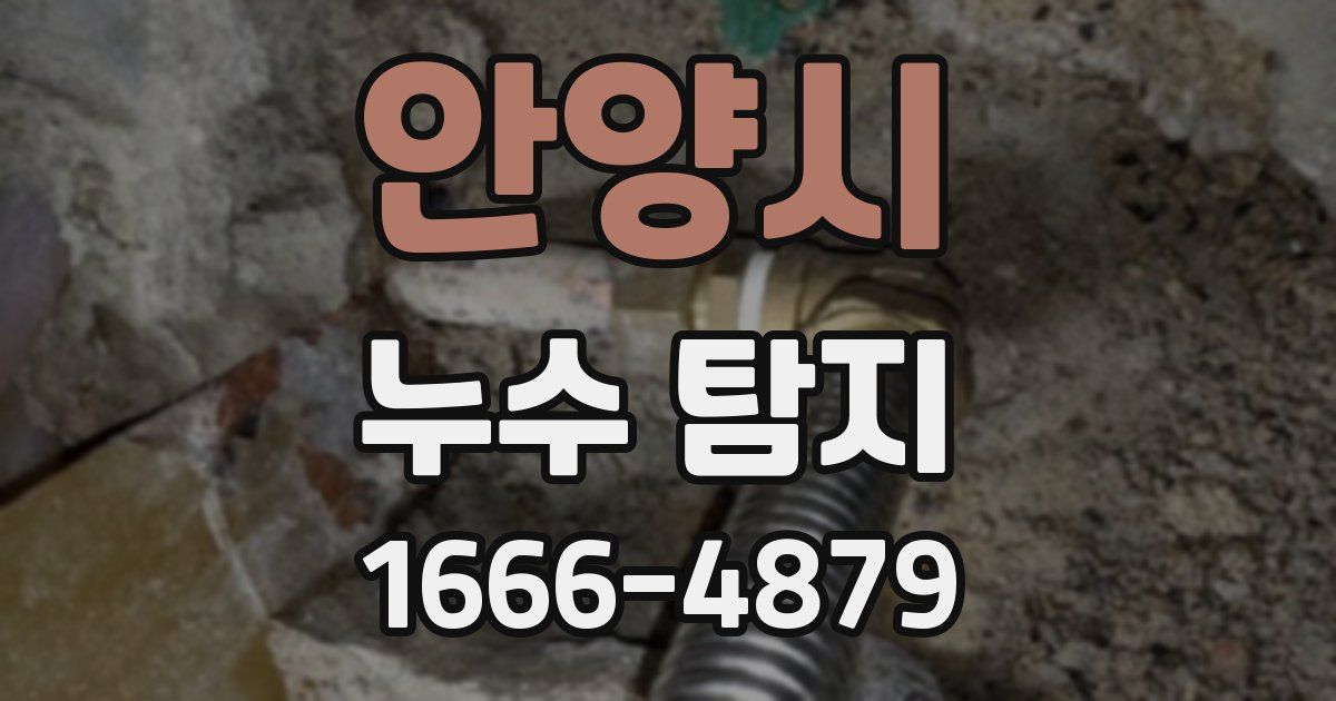 안양시 누수 탐지