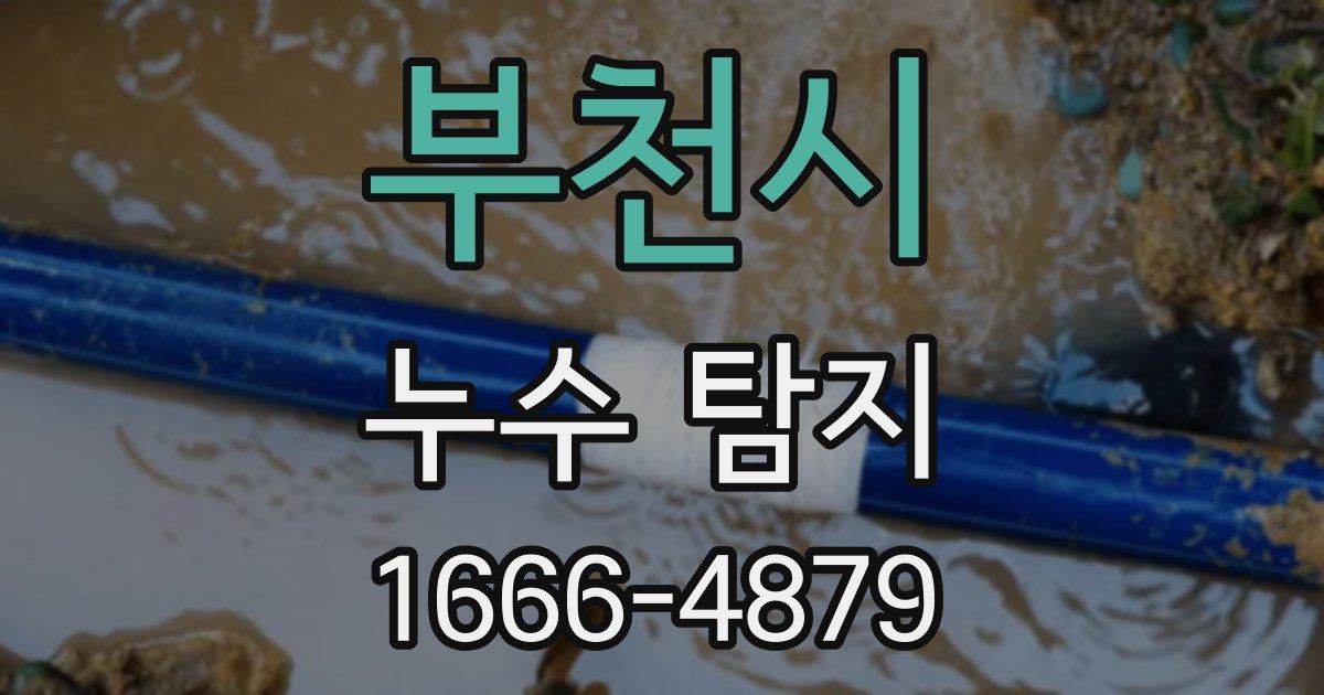 부천시 누수 탐지