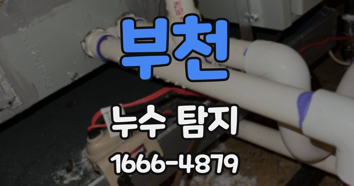 부천 누수 탐지