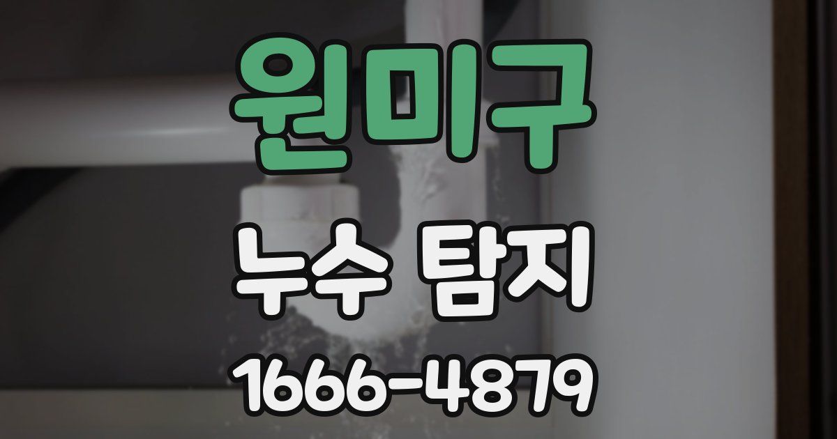 원미구 누수 탐지