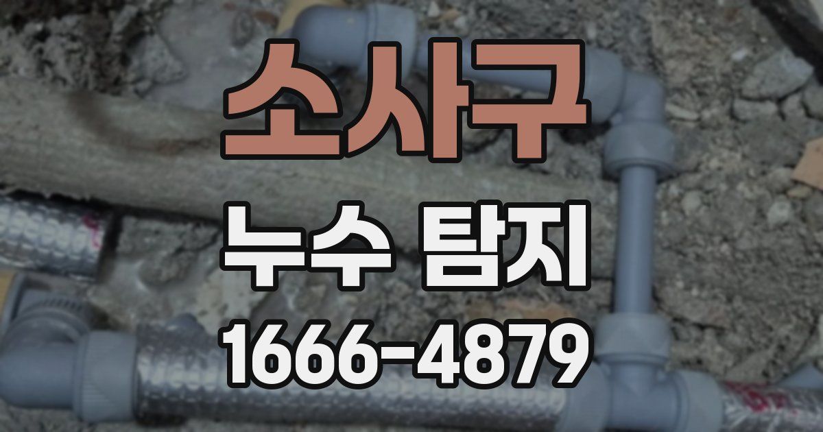 소사구 누수 탐지