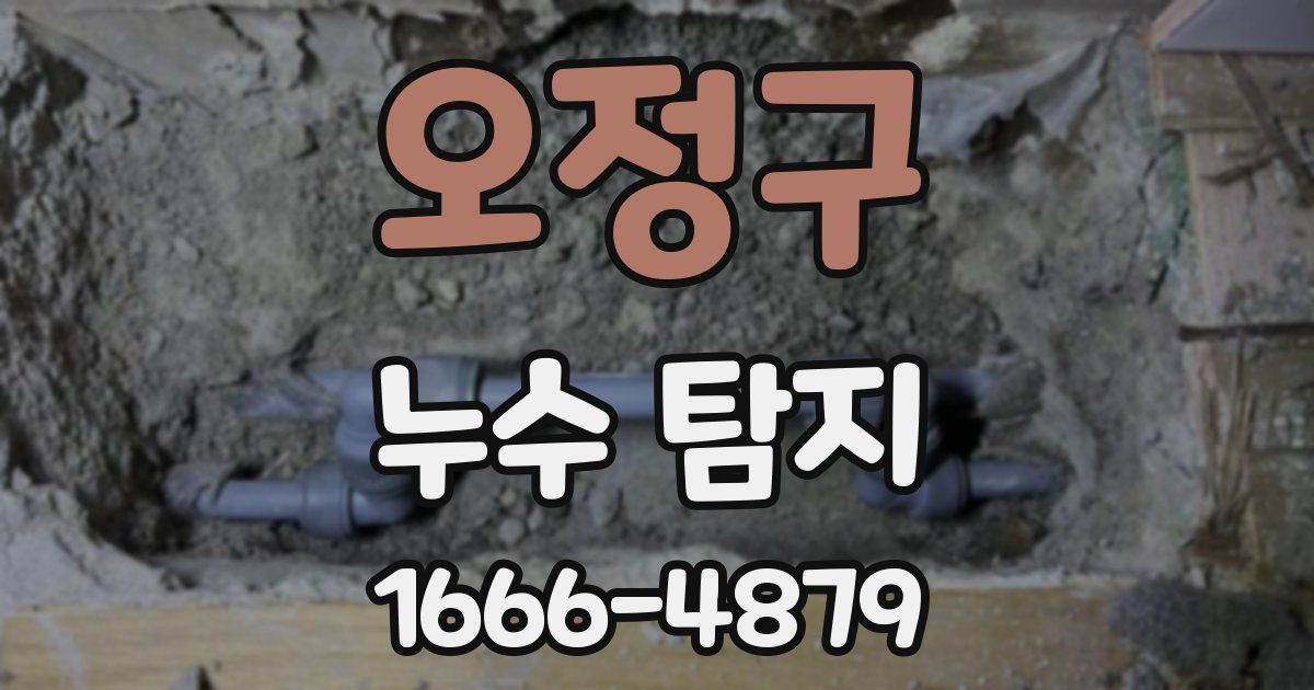 오정구 누수 탐지