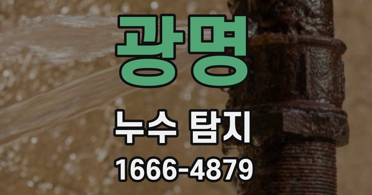 광명 누수 탐지