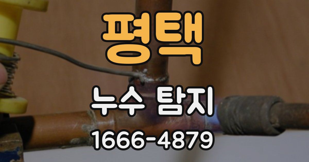 평택 누수 탐지