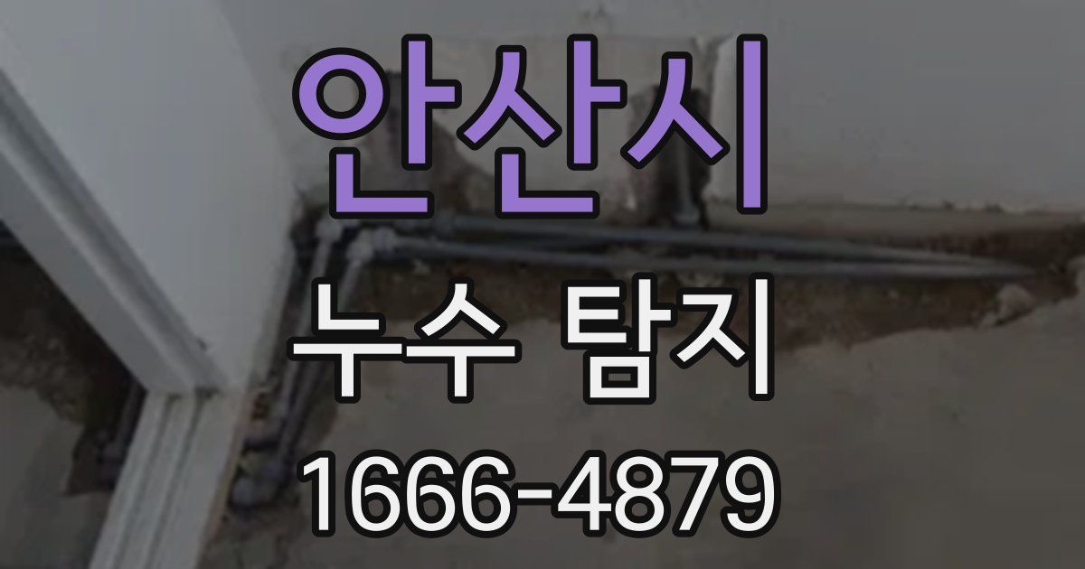 안산시 누수 탐지
