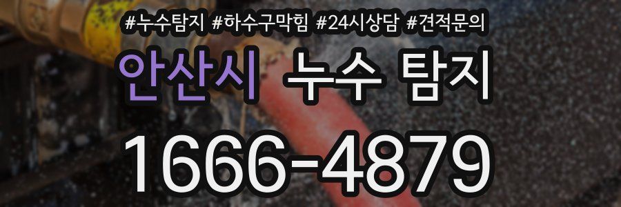 안산시 누수 탐지