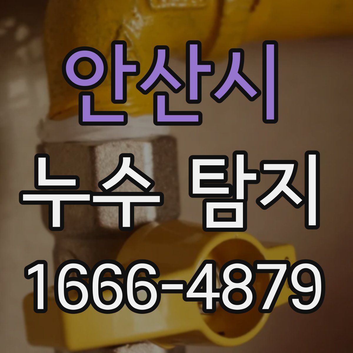 안산시 누수 탐지