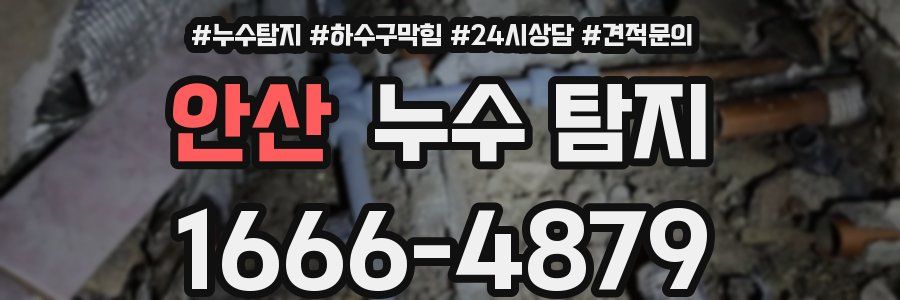 안산 누수 탐지