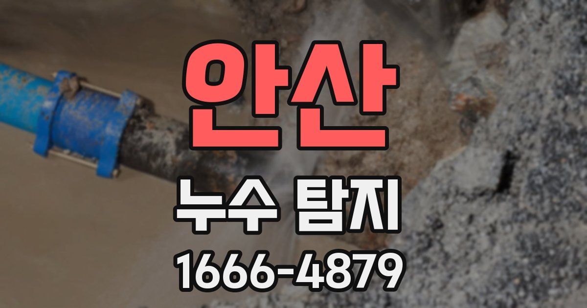 안산 누수 탐지