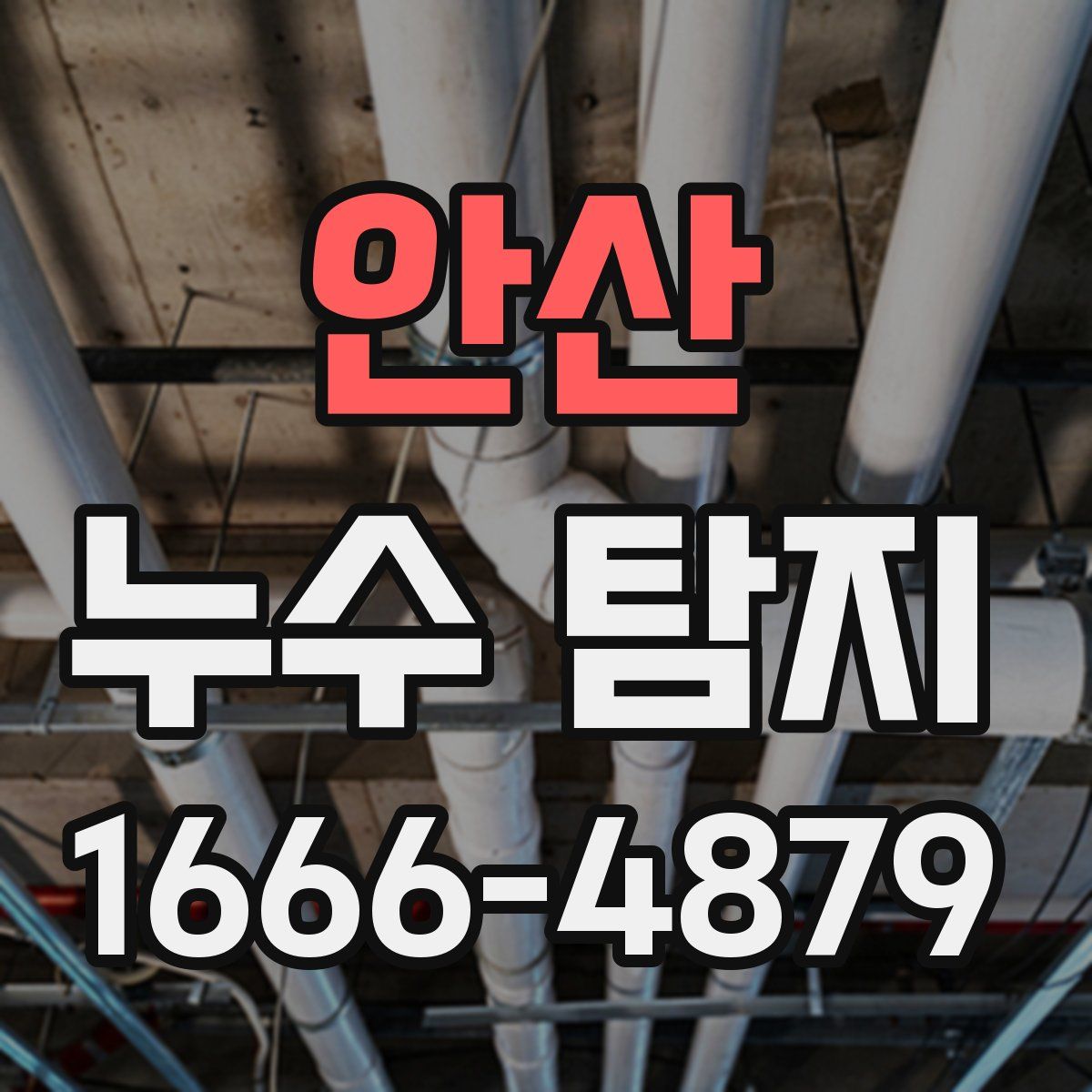 안산 누수 탐지