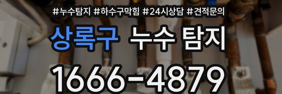 상록구 누수 탐지