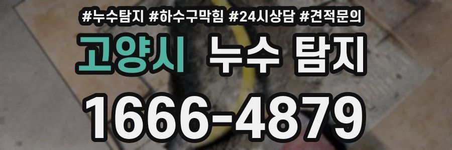 고양시 누수 탐지