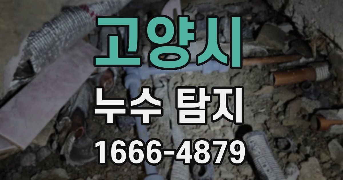 고양시 누수 탐지