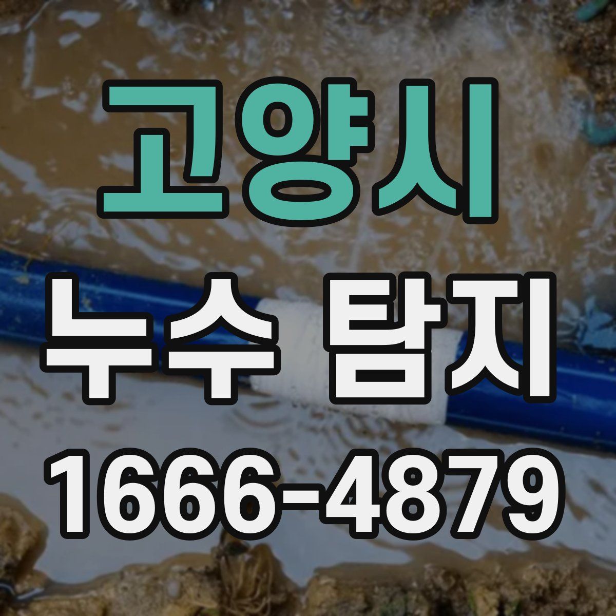 고양시 누수 탐지