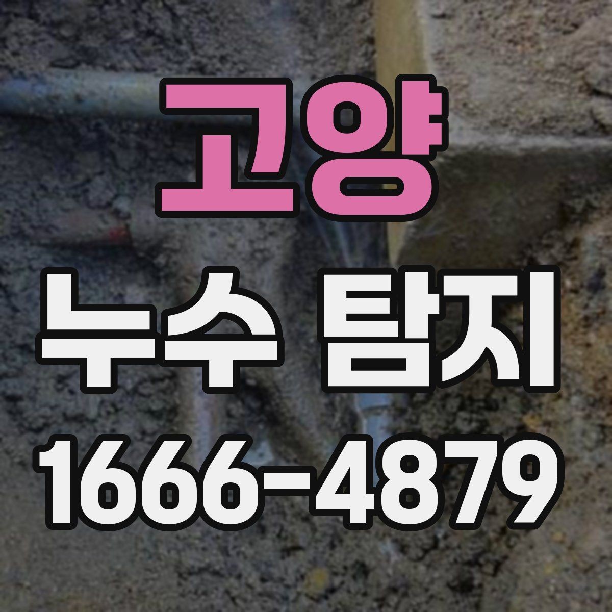 고양 누수 탐지 전후로 달라지는 점검 절차