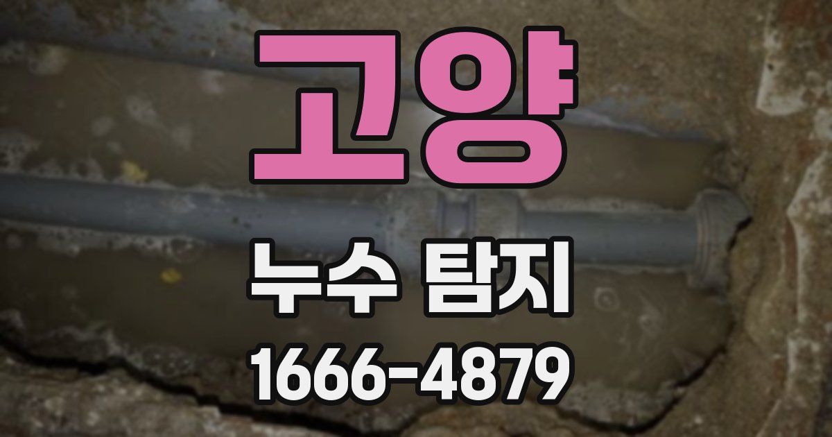 고양 누수 탐지