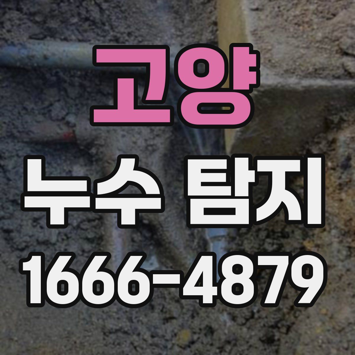 고양 누수 탐지
