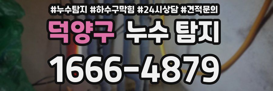 덕양구 누수 탐지