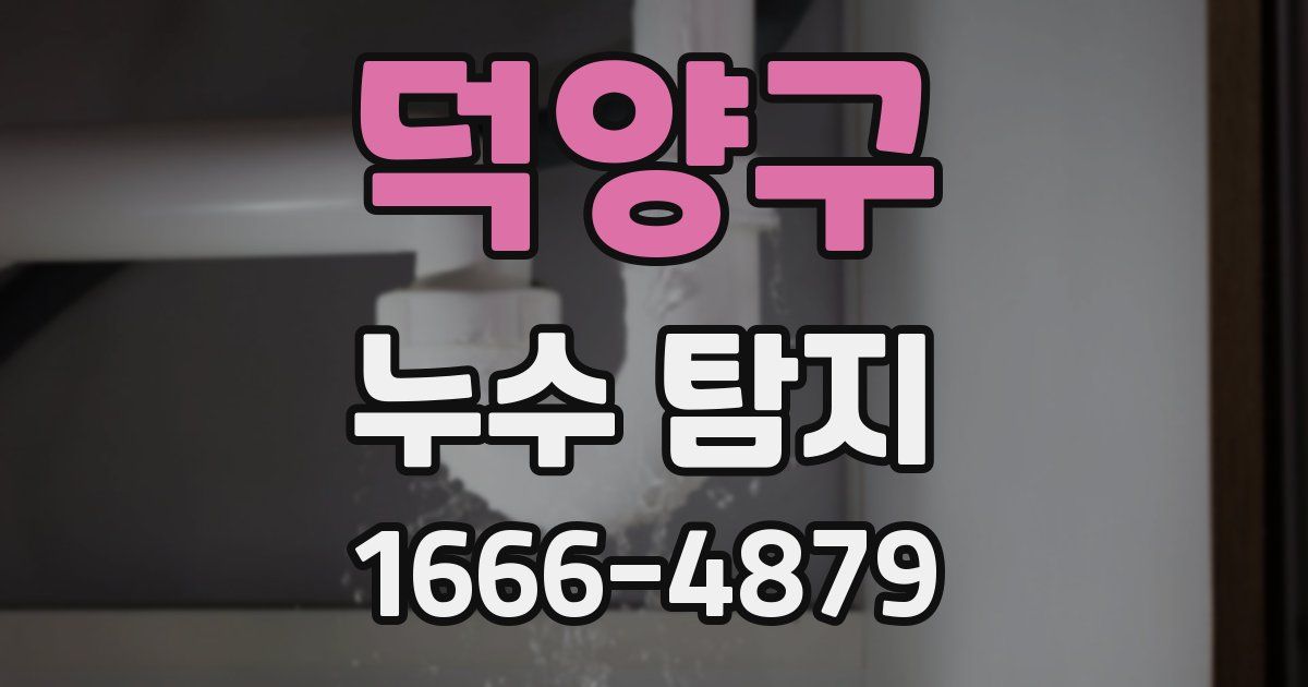 덕양구 누수 탐지