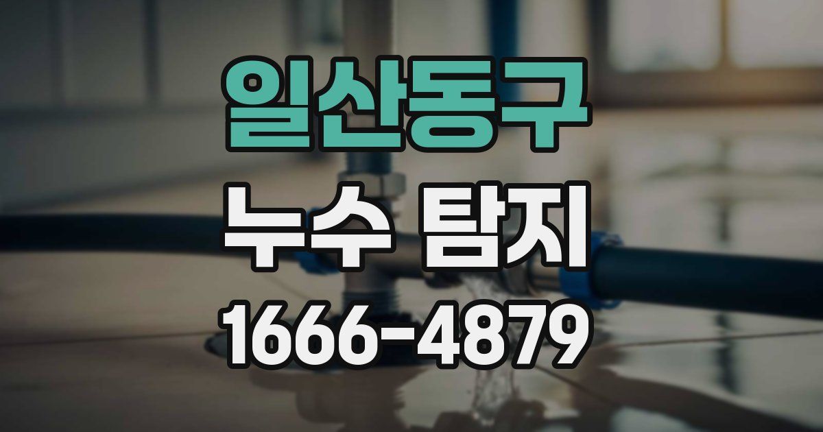 일산동구 누수 탐지