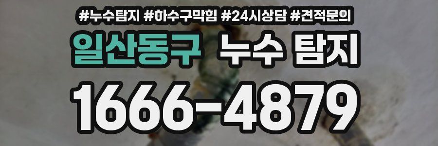 일산동구 누수 탐지