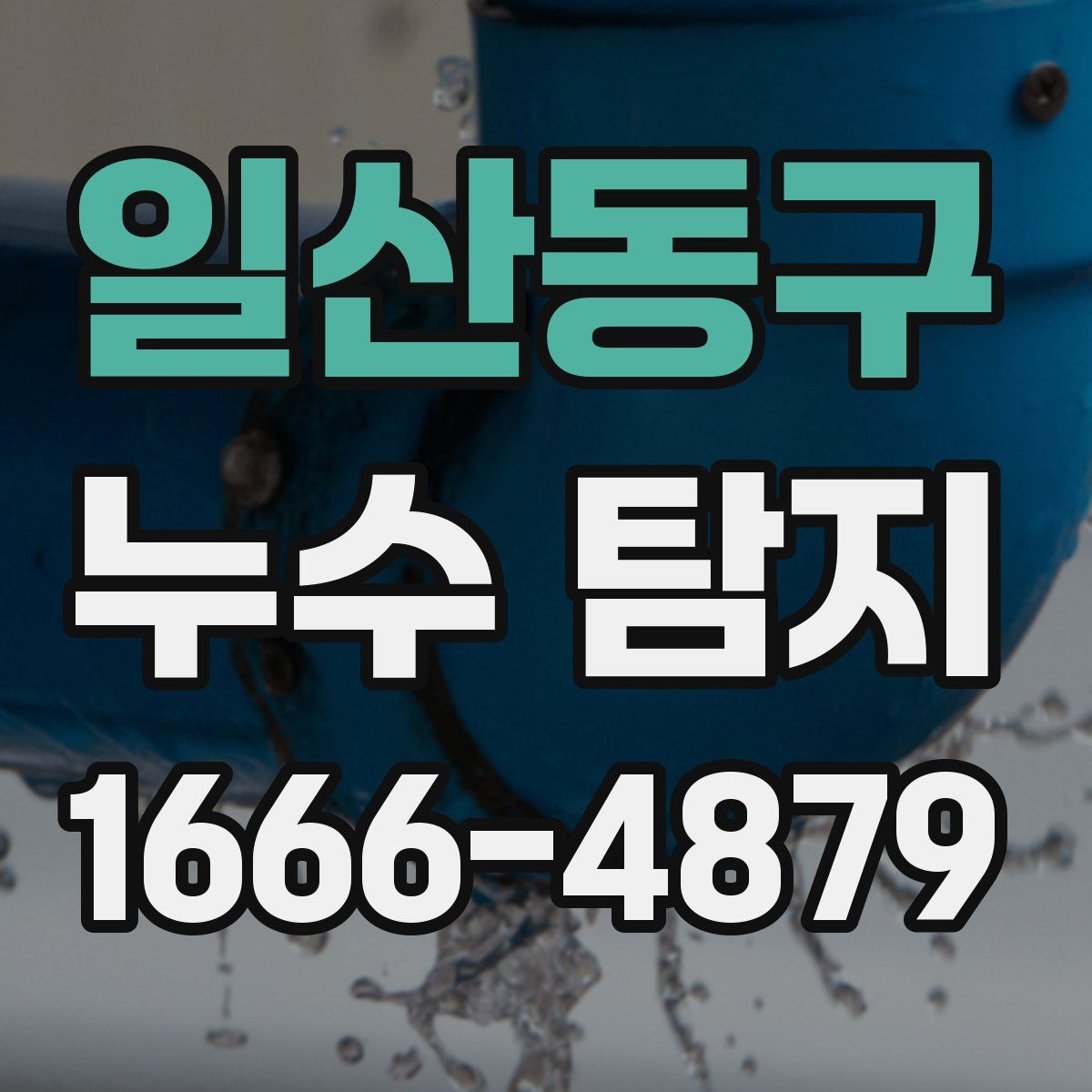 일산동구 누수 탐지