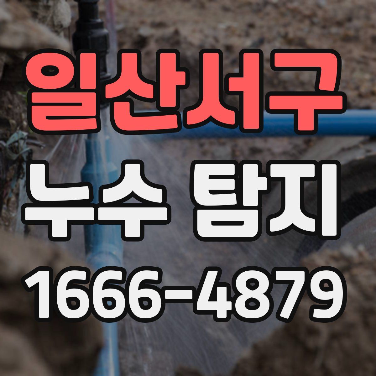 일산서구 누수 탐지