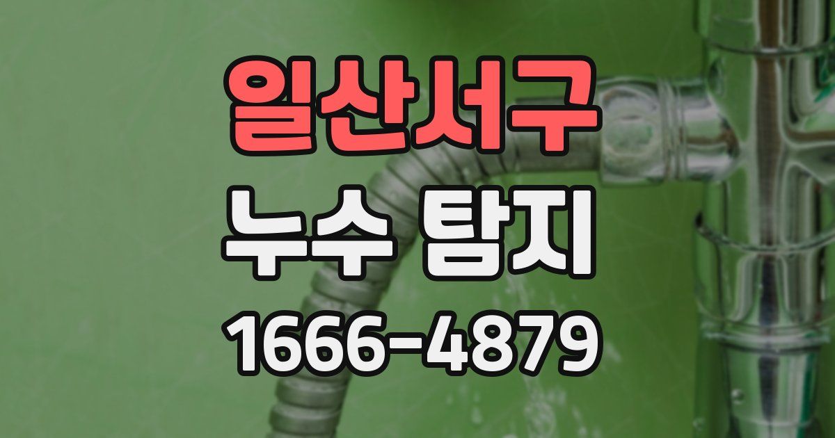일산서구 누수 탐지