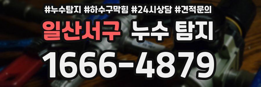 일산서구 누수 탐지